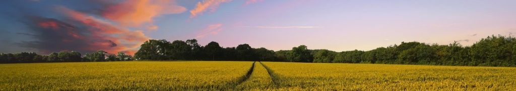 When is an someone considered an independent contractor on a farm